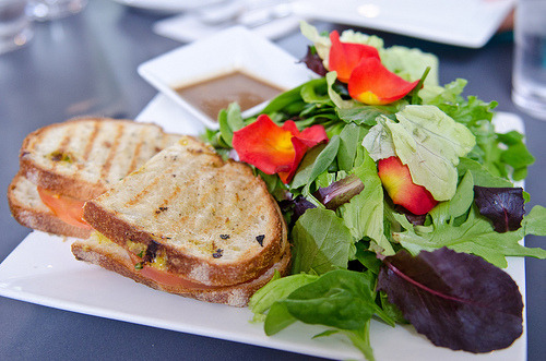 Salad, Sandwich