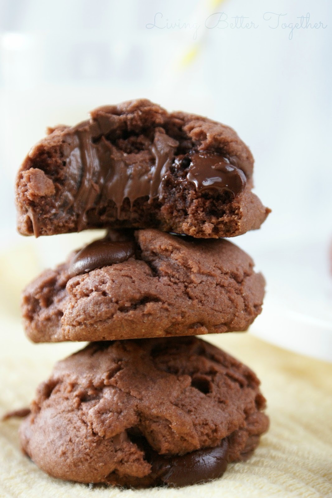 Double Chocolate Chip Pudding Cookies (recipe)
