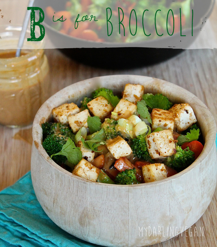 Broccoli Pepper Stir Fry with Ginger Peanut Sauce