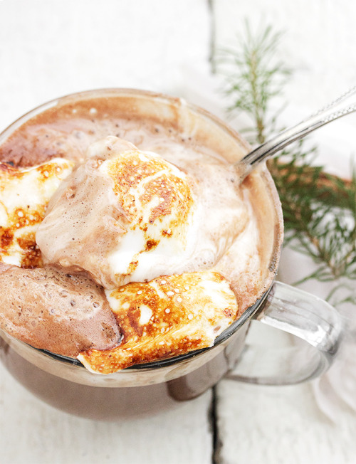Melted Ice Cream Hot Chocolate with Toasted Marshmallows Seasons And Suppers